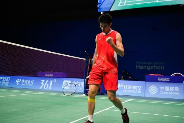 析提供了便 析提供了便